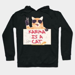 Karma Is A Cat Hoodie